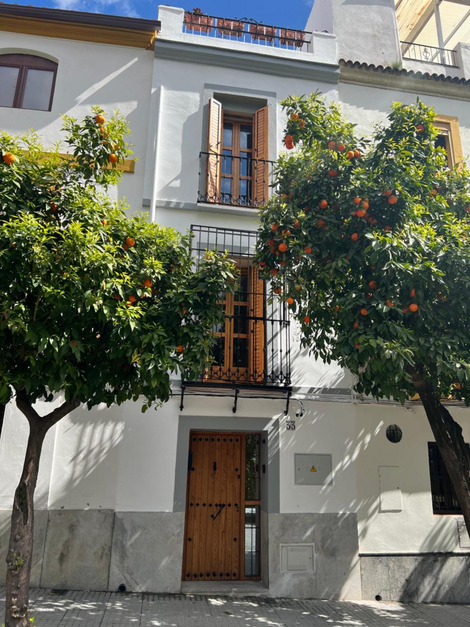 San Fernando 33 Villa Cordoba Ngoại thất bức ảnh